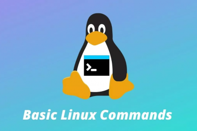 Linux Basic Commands