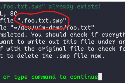 What is .swp file extension in linux?