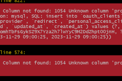 Column not found: 1054 Unknown column ‘provider’ in ‘field list’ (Connection: mysql, SQL: insert into oauth_clients