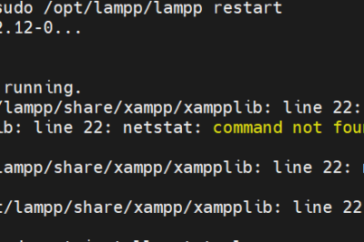 /opt/lampp/share/xampp/xampplib: line 22: netstat: command not found